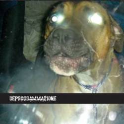 Deprogrammazione : Promo 06